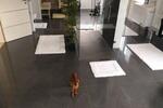 Einfamilienhaus Schnaitsee - 3.5 Zimmer, 225 m&sup2;, 829.000&euro; | Angebot:27120924