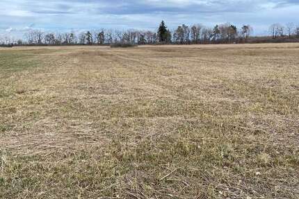 Grundstück Übersee - 52.000&euro; | Angebot:25766952