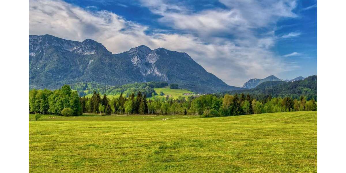 Einfamilienhaus Traunstein - 20 Zimmer, 900 m&sup2;, 3.995.000&euro; | Angebot:26856984