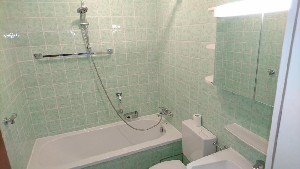 Hochparterre Traunstein - 2 Zimmer, 60 m&sup2;, 750&euro; | Angebot:25428039