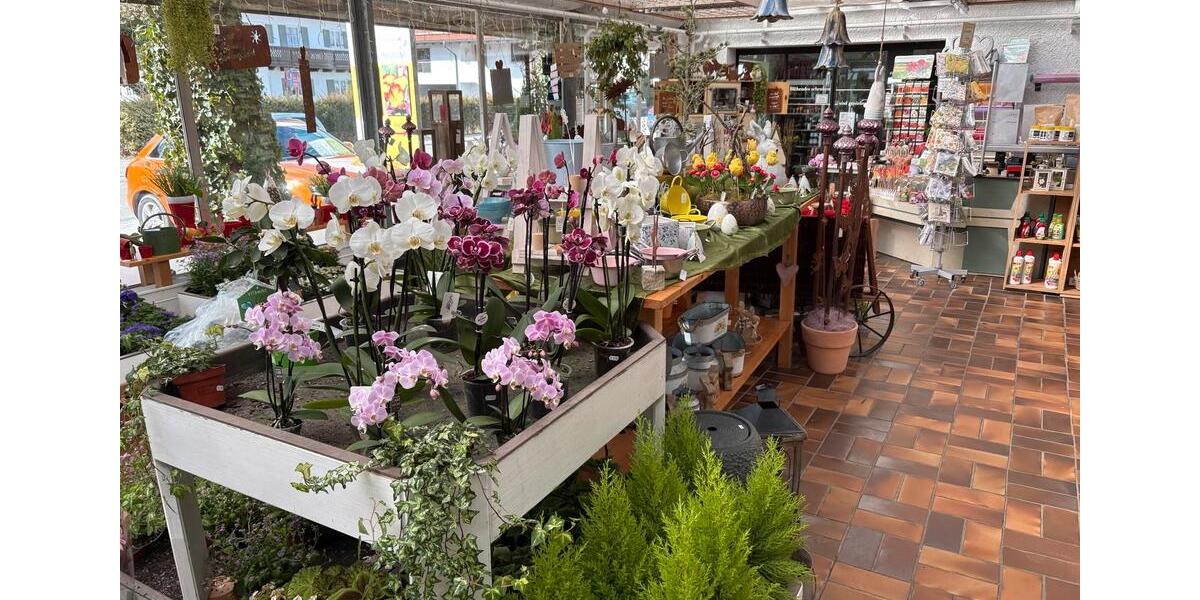 Gewerbeobjekt Eggstätt - 1.974&euro; | Angebot:25984900