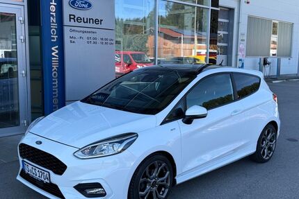 Ford Fiesta 62.000 km 10.950 &euro; Palling 83349