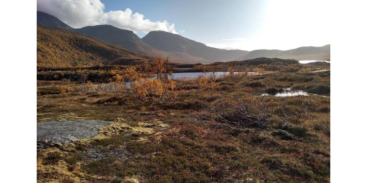 Einfamilienhaus Ainring - 50.000&euro; | Angebot:25921073