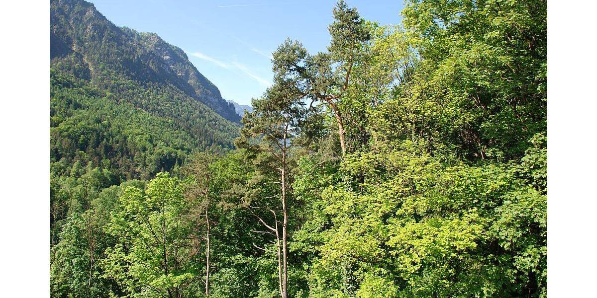 Etagenwohnung Bad Reichenhall Karlstein - 3 Zimmer, 57 m&sup2;, 180.000&euro; | Angebot:25802962