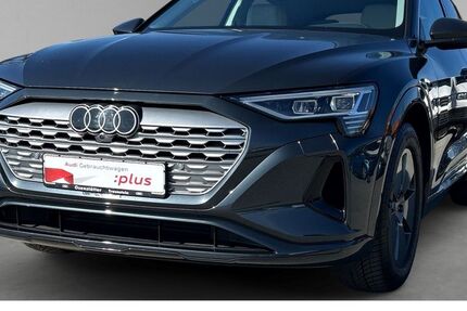 Audi Q8 35.000 km 69.870 &euro; Traunstein 83278