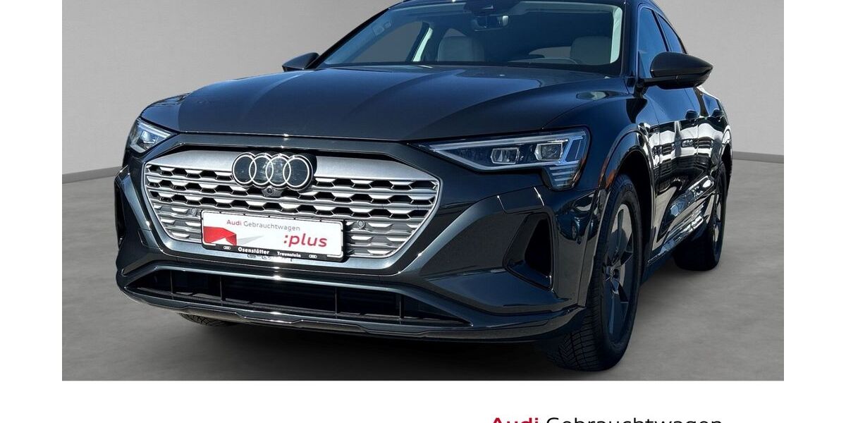 Audi Q8 35.000 km 69.870 &euro; Traunstein 83278