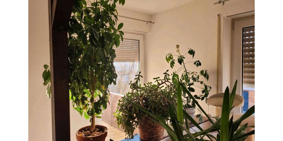Einfamilienhaus Palling - 10 Zimmer, 186 m&sup2;, 710.000&euro; | Angebot:26399454