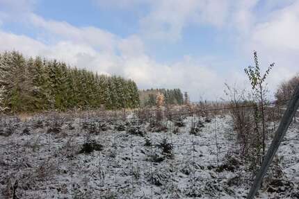 Grundstück Schnaitsee - 80.000&euro; | Angebot:26066212