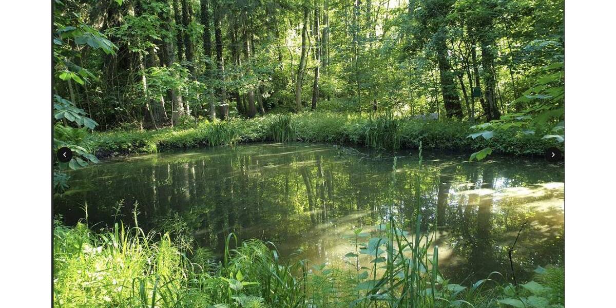 Mehrfamilienhaus, Wohnhaus Übersee - 1 Zimmer, 400 m&sup2;, 1.600.000&euro; | Angebot:25689511