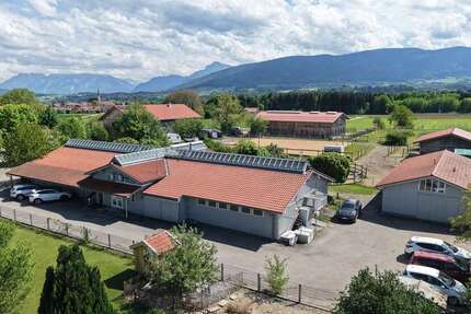 Gewerbeobjekt Teisendorf Hausmoning - 560&euro; | Angebot:26767982