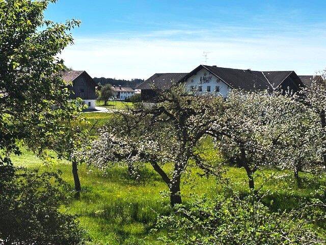 Etagenwohnung Pittenhart - 5 Zimmer, 230 m&sup2;, 795.000&euro; | Angebot:26451904