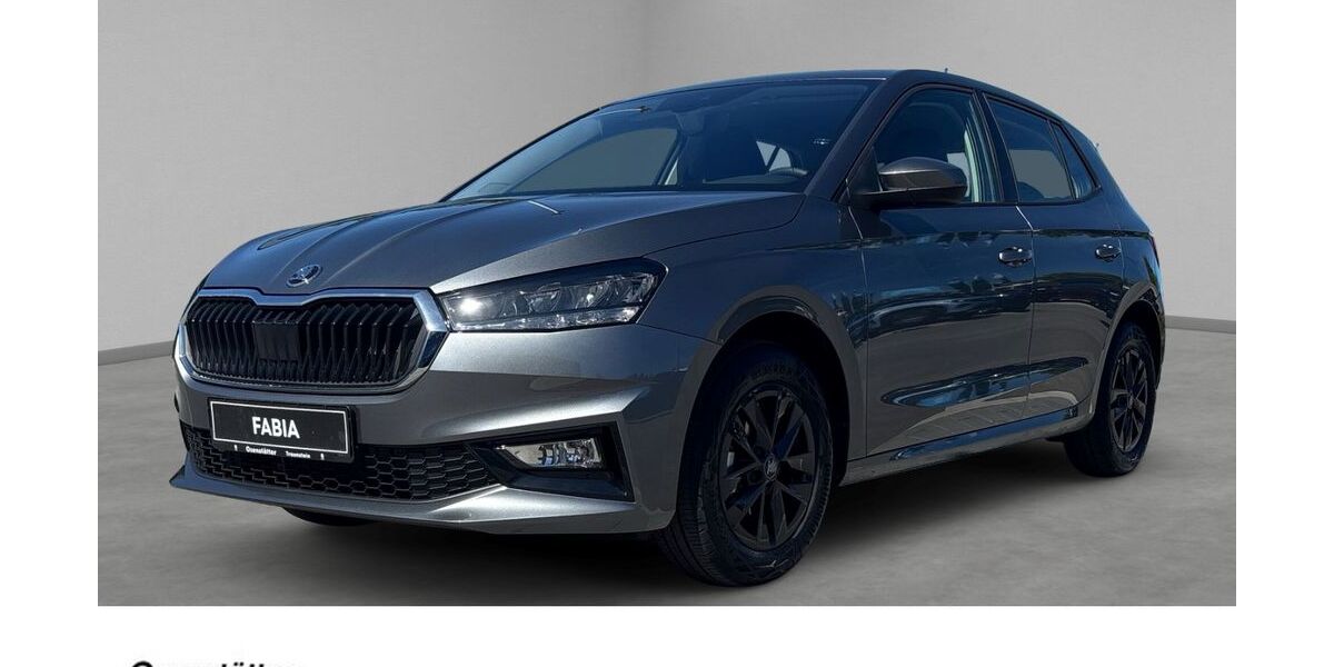 Skoda Fabia 5.200 km 19.460 &euro; Traunstein 83278