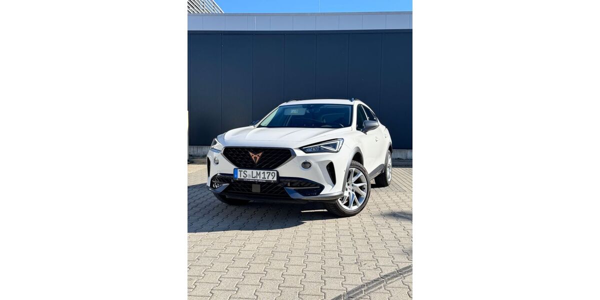 Cupra Formentor 29.450 km 22.000 &euro; Traunreut 83301