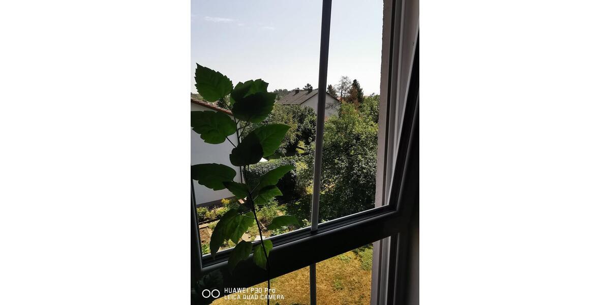 Etagenwohnung Altenmarkt an der Alz - 3 Zimmer, 99 m&sup2;, 465.000&euro; | Angebot:27183158