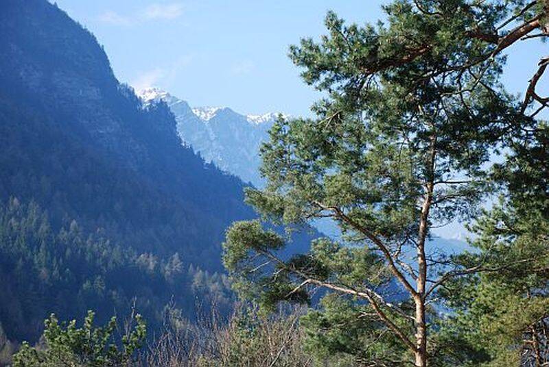 Etagenwohnung Bad Reichenhall Karlstein - 3 Zimmer, 57 m&sup2;, 180.000&euro; | Angebot:25802962