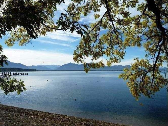 Mehrfamilienhaus, Wohnhaus Übersee - 1 Zimmer, 400 m&sup2;, 1.600.000&euro; | Angebot:25689511