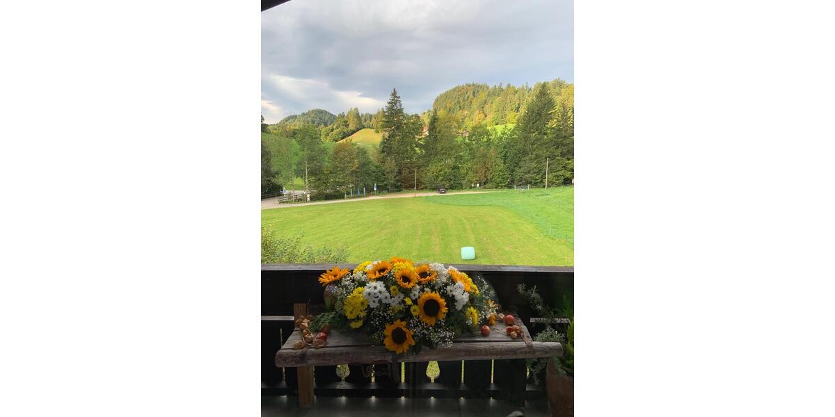 Etagenwohnung Aschau im Chiemgau - 1 Zimmer, 25 m&sup2;, 155.000&euro; | Angebot:25983567