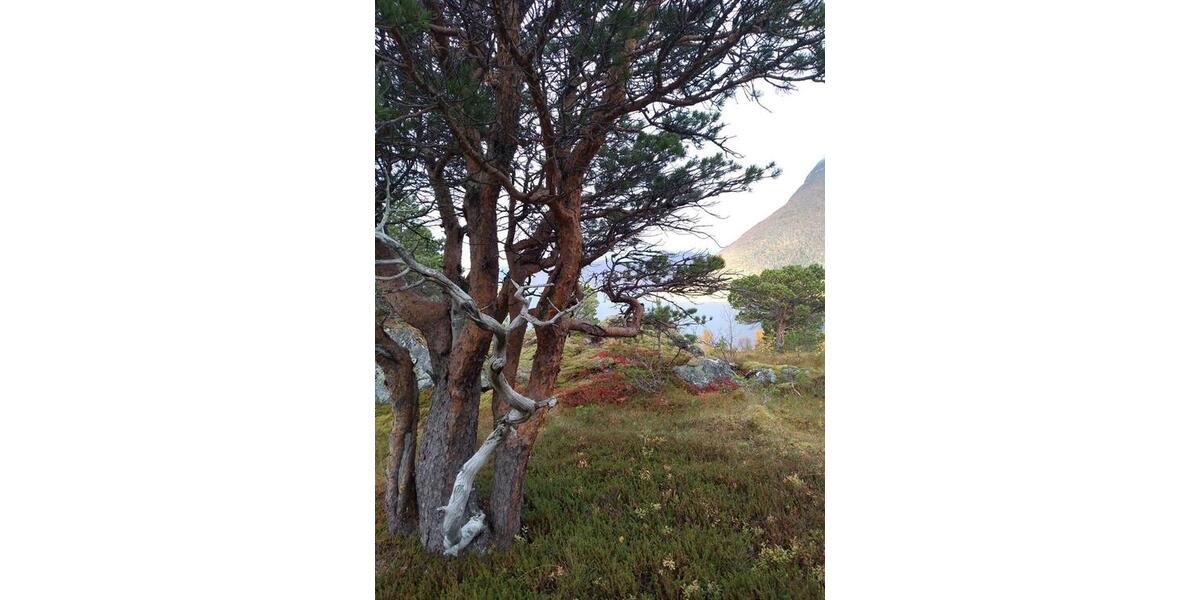 Einfamilienhaus Ainring - 50.000&euro; | Angebot:25921073