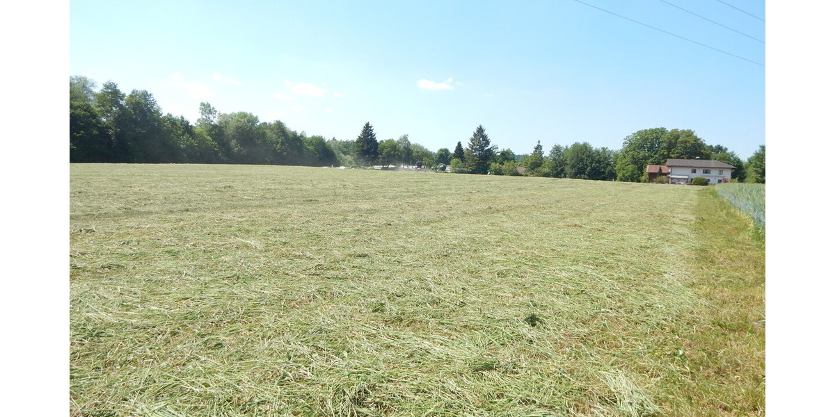 Landwirtschaftlicher Grund als Geldanlage - in 84529 TittmoningSüdbayern, Nähe Leitgeringer See - Grundstück Tittmoning Tittmoning | Angebot:26731085