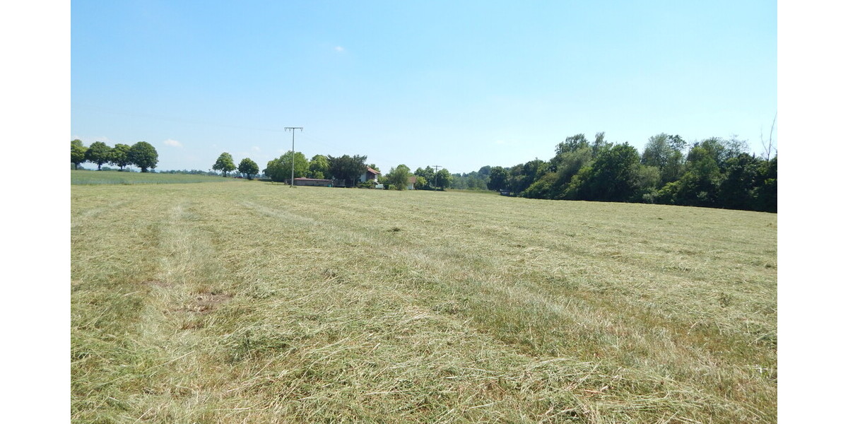 Landwirtschaftlicher Grund als Geldanlage - in 84529 TittmoningSüdbayern, Nähe Leitgeringer See - Grundstück Tittmoning Tittmoning | Angebot:26731085