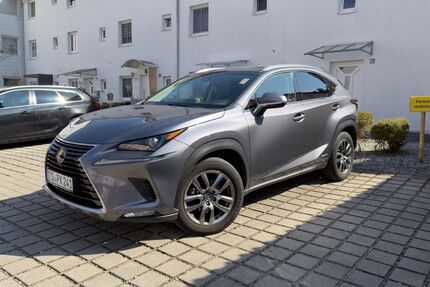 Lexus NX 300 164.000 km 19.900 &euro; Traunreut 83301