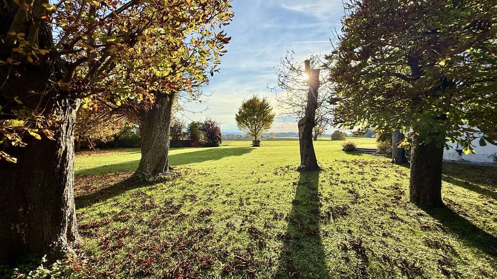 Einfamilienhaus Waging Fisching - 7 Zimmer, 360 m&sup2;, 2.200.000&euro; | Angebot:24024129