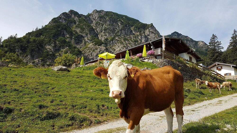 Gewerbeobjekt Schleching Ettenhausen - 2.650.000&euro; | Angebot:25948104