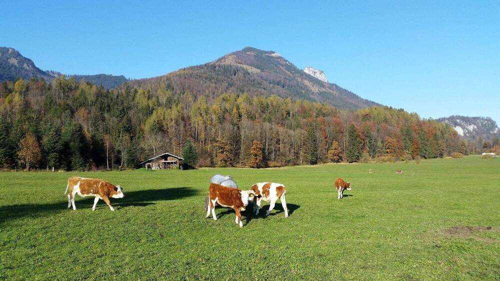 Mehrfamilienhaus, Wohnhaus Schleching - 3 Zimmer, 57 m&sup2;, 448.000&euro; | Angebot:25815886