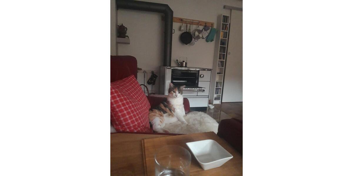 Doppelhaushälfte Inzell - 479.000&euro; | Angebot:25985960