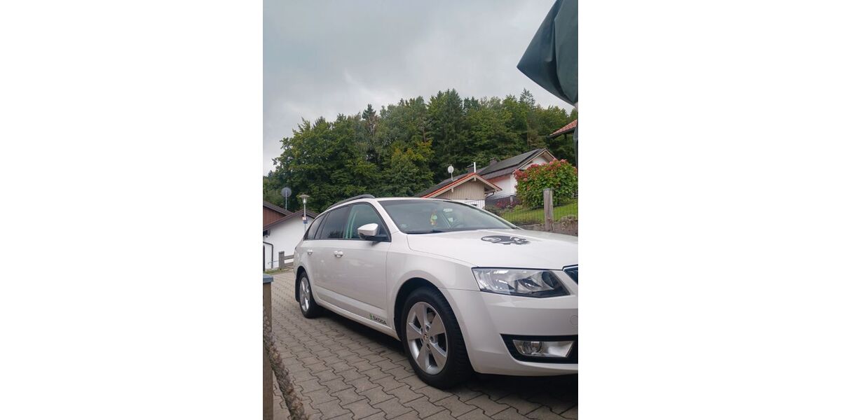 Skoda Octavia 156.000 km 11.600 &euro; Anger 83454