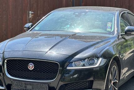 Jaguar XF 161.836 km 12.490 &euro; Traunwalchen 83374