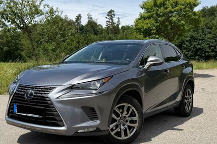 Lexus NX 300 166.000 km 19.900 &euro; Traunreut 83301
