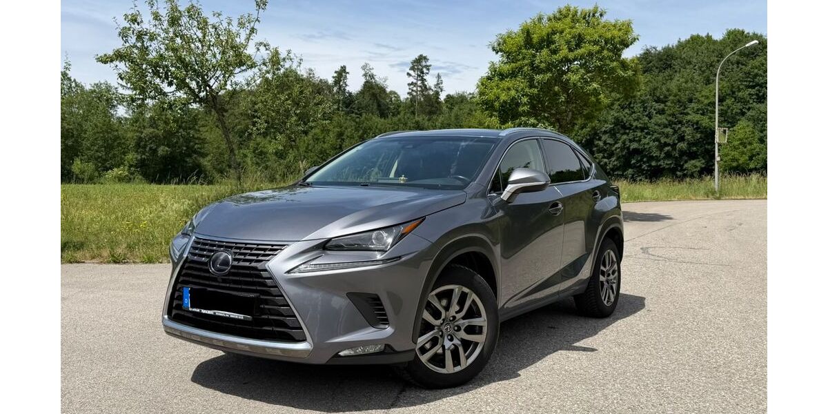 Lexus NX 300 166.000 km 19.900 &euro; Traunreut 83301