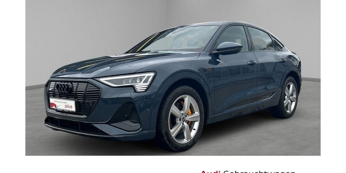 Audi e-tron 51.600 km 57.430 &euro; Traunstein 83278