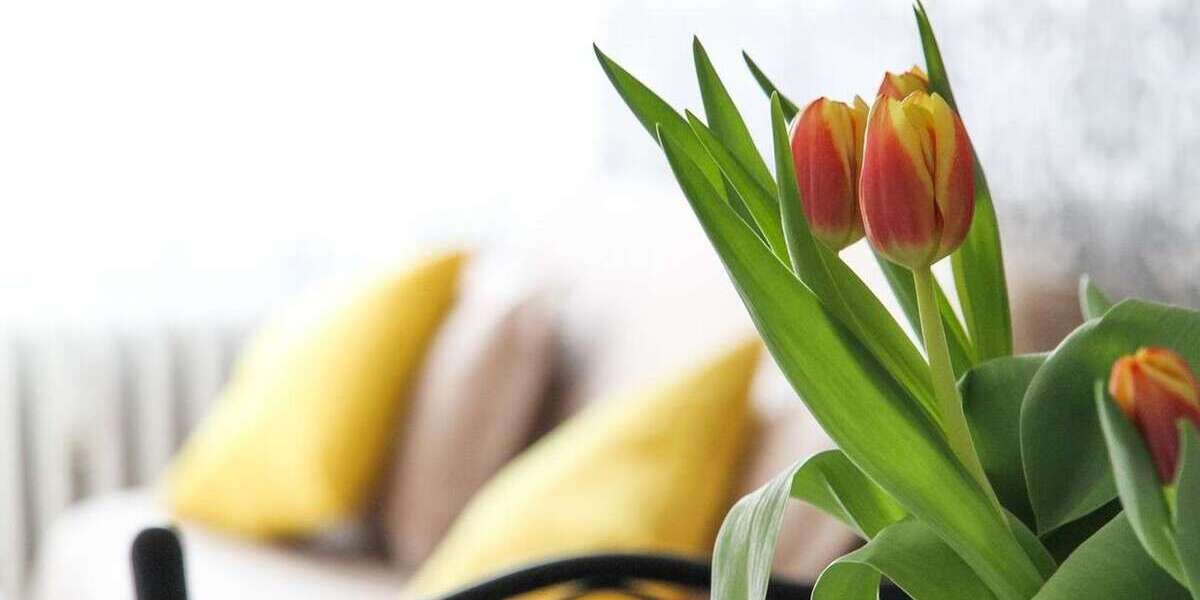 Etagenwohnung Bernau - 2 Zimmer, 51 m&sup2;, 680&euro; | Angebot:25301293