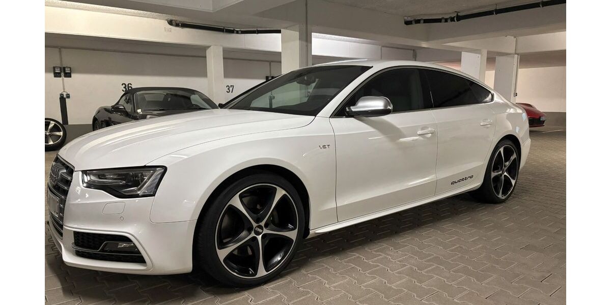 Audi S5 163.000 km 21.900 &euro; Freilassing 83395