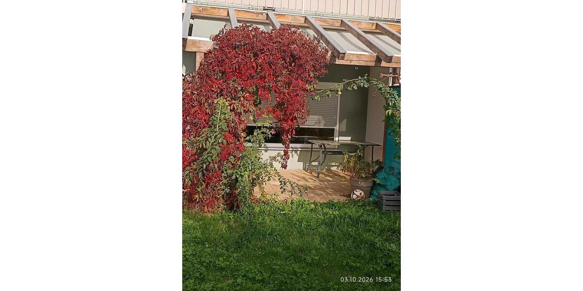 Terrassenwohnung Tittmoning - 4 Zimmer, 110 m&sup2;, 1.400&euro; | Angebot:27607684