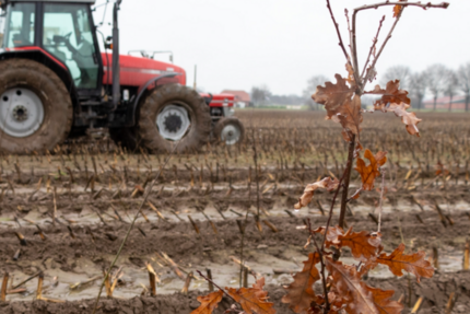 Grundstück Fridolfing - 698.000&euro; | Angebot:20323927