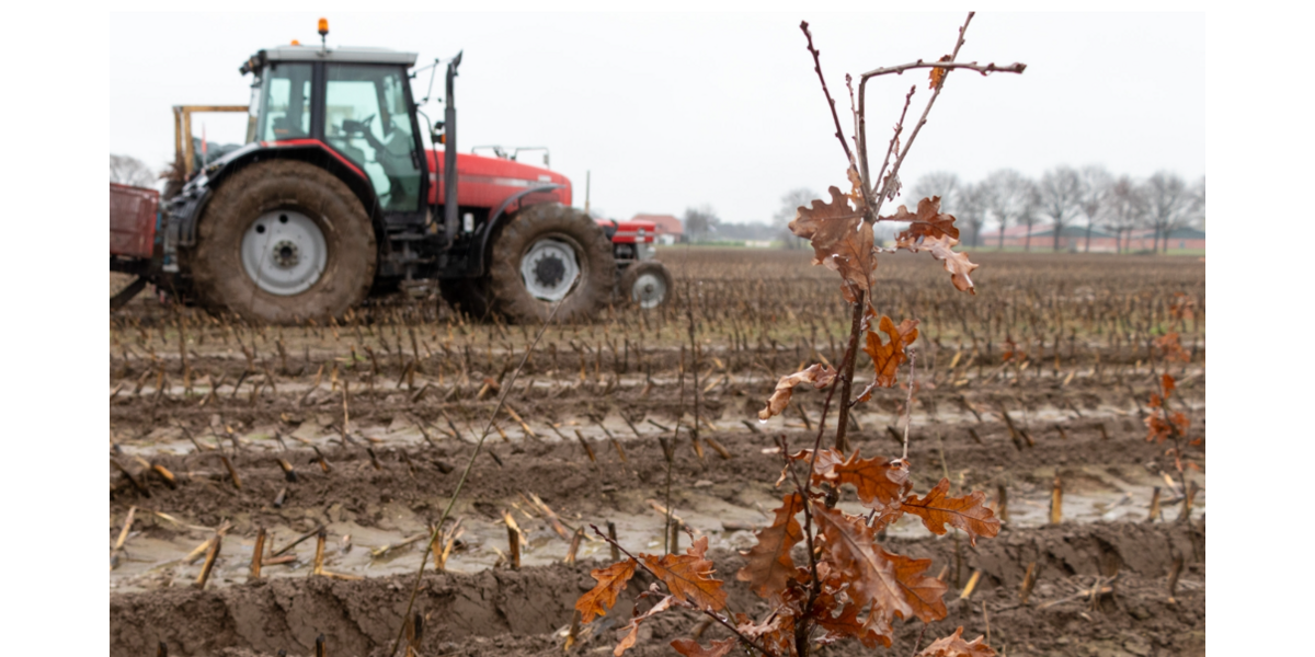 Grundstück Fridolfing - 698.000&euro; | Angebot:20323927