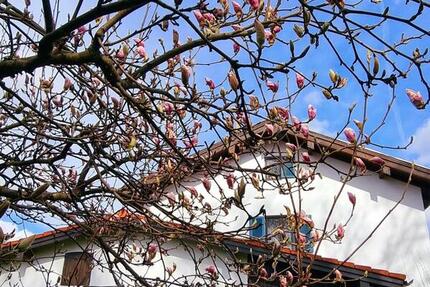 Haus Frasdorf - 6 Zimmer, 145 m&sup2;, 680.000&euro; | Angebot:26072940