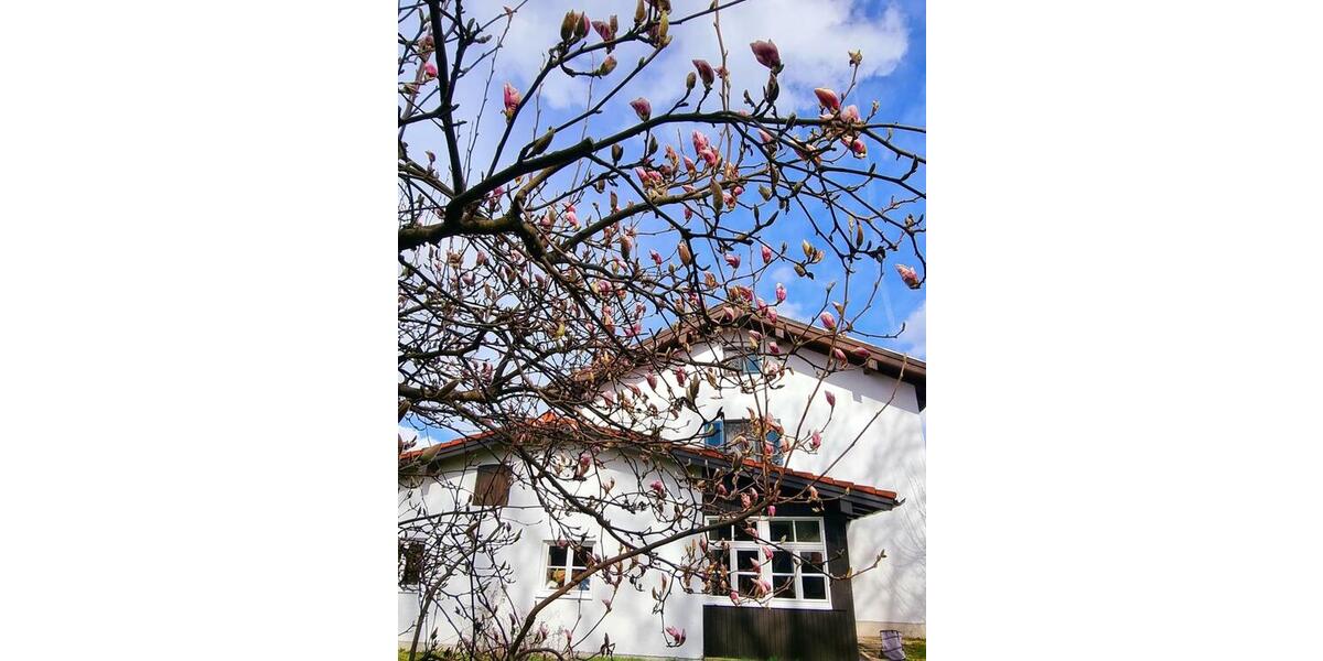 Mehrfamilienhaus, Wohnhaus Frasdorf - 6 Zimmer, 145 m&sup2;, 680.000&euro; | Angebot:26072940