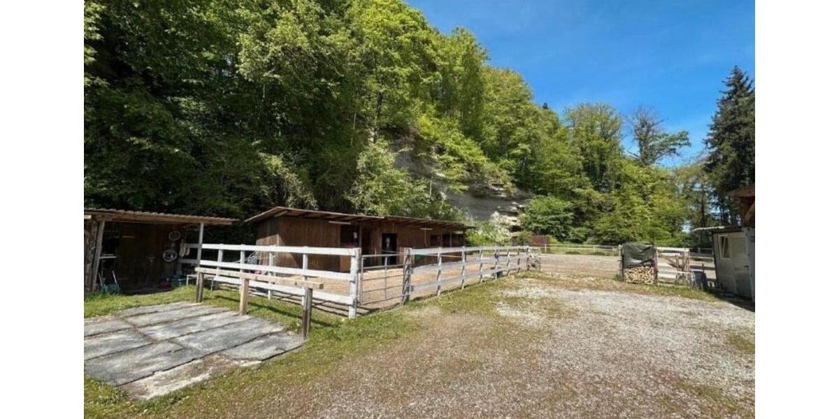 Einfamilienhaus Laufen - 7 Zimmer, 240 m&sup2;, 890.000&euro; | Angebot:27109727