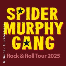 Spider Murphy Gang - Rock'n'Roll Tour 2026 10.07.2026 Festzelt Reit im Winkl