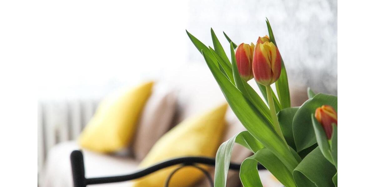 Etagenwohnung Bernau am Chiemsee - 2 Zimmer, 51 m&sup2;, 680&euro; | Angebot:25280955