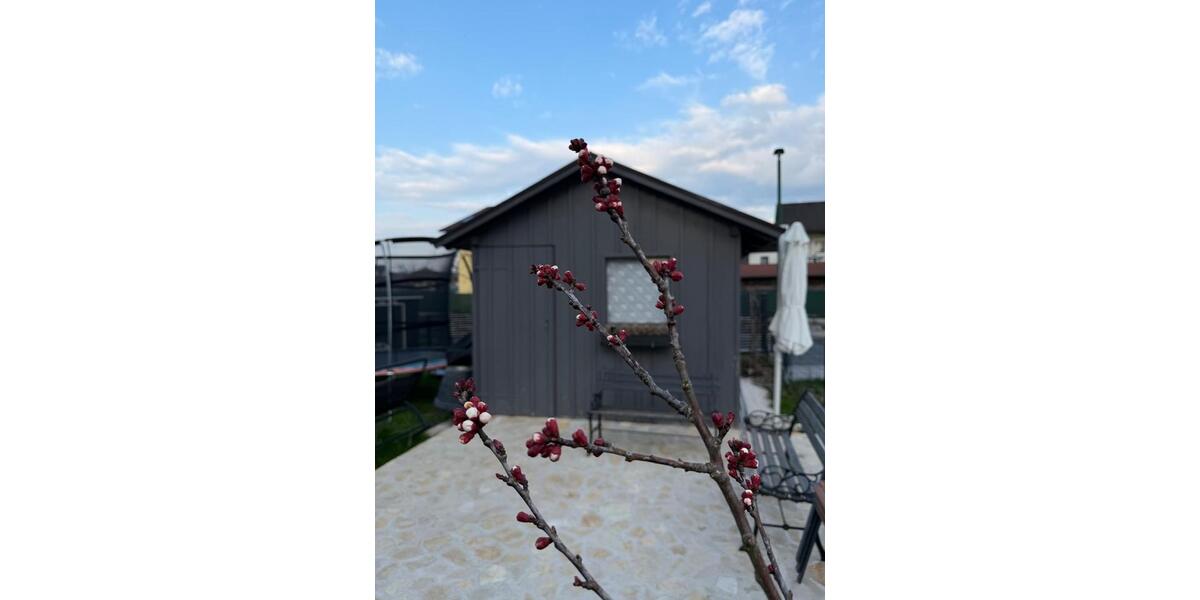 Mehrfamilienhaus, Wohnhaus Freilassing - 13 Zimmer, 360 m&sup2;, 2.190.000&euro; | Angebot:25987373