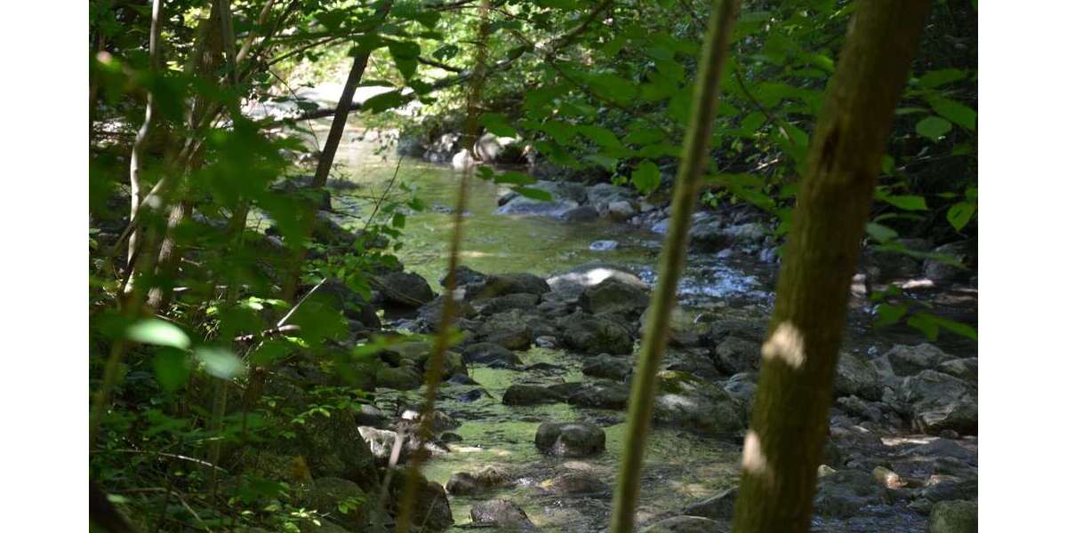 Grundstück Unterwössen Oberwössen - 575.000&euro; | Angebot:22791857