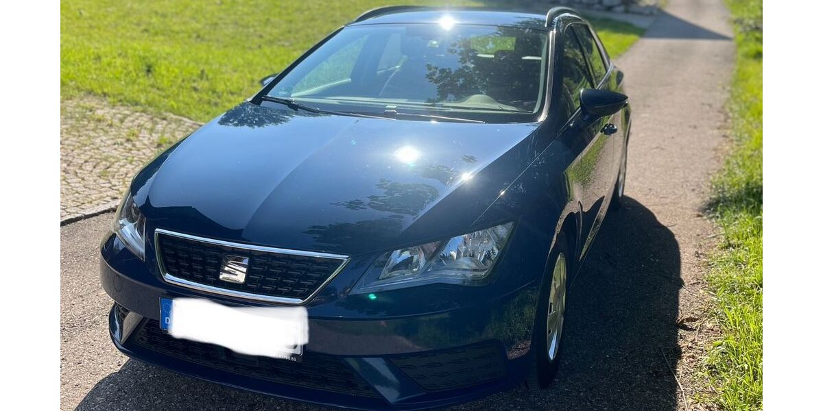 Seat Leon 185.000 km 8.600 &euro; Übersee 83236
