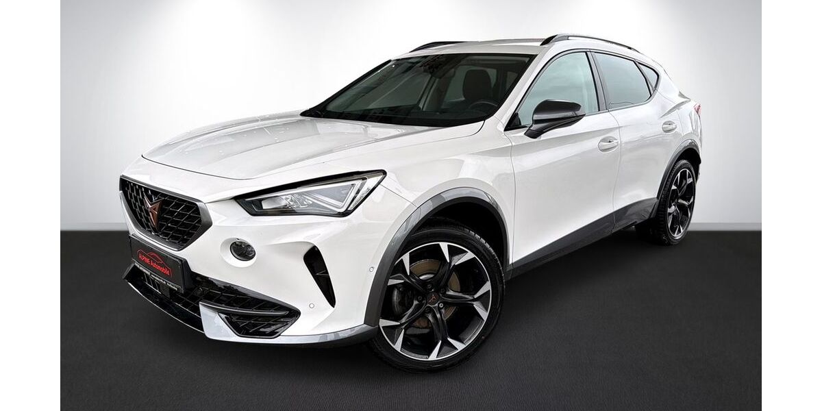Cupra Formentor 73.800 km 24.990 &euro; Freilassing 83395